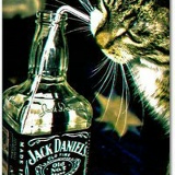 Рома Котельников, 11.04, Eilat