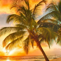 Денис Ребриков, 26.05, Москва