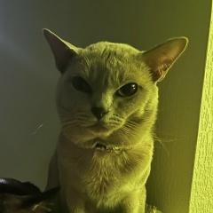 Алексей Иванов, 27.12, Санкт-Петербург