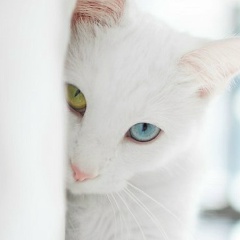 Таня Козырева, 11.12.1988, Набережные Челны