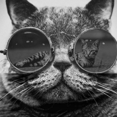 Георгий Усмаев, 03.03, Астана