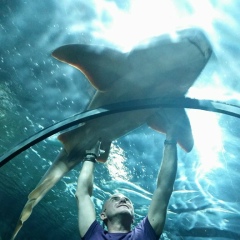 Игорь Тис, Киев