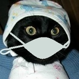 Dmitry Millionnyy, 25.02.1927, Краснодар