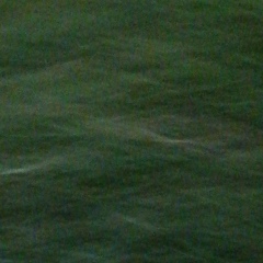 Елена Аркатова, 06.03.1984, Краснодар