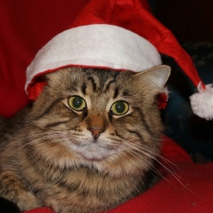 Денис Поздняков, 07.05, Санкт-Петербург