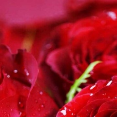 Назгуль Егинбаева, 15.07, Алматы