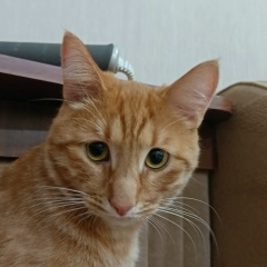 Сергей Евсиков, 10.07.1984