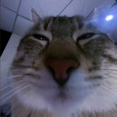 Осман Мусаев, 13.05