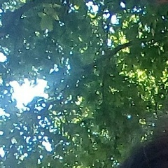 Анастасия Баклан, 22.08, Киев