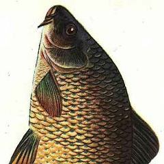 Степан Грибоедов, 04.10.1984, Москва