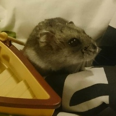 Юлия Михайлова Фотограф, 13.08, Санкт-Петербург