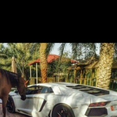 Ильяс Оразымбетов, 12.10.1987, Алматы