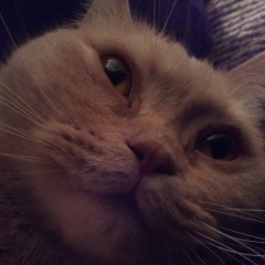 Михаил Мухин, 02.09.1989, Донецк