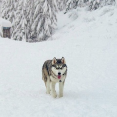 Багдат Шарапатдин, 08.02, Актау