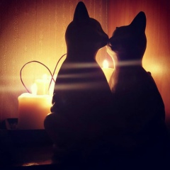 Лена Вивденко, 23.08, Москва