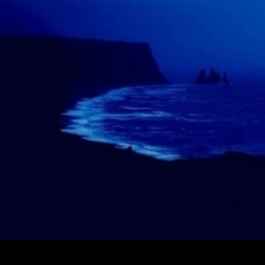 Люба Елизарова, Санкт-Петербург