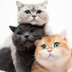 Людмила Эчизен, 17.07, Berlin