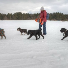 Ирина Анфимова