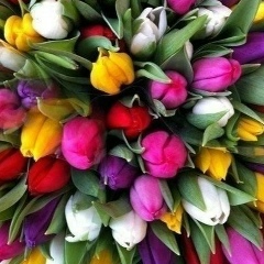 Наталька Соловьёва, 15.10