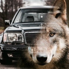 Bake Boss, 19.04, Алматы