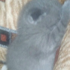 Аня Рыбакова, 13.05.1986, Новомосковск