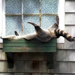 Настя Рогинская, 08.06.1989, Санкт-Петербург