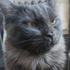 Андрей Харитонов, 30.03, Москва