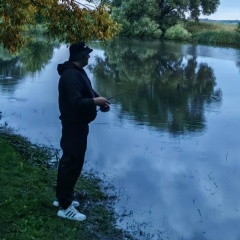 Дмитрий Мирный