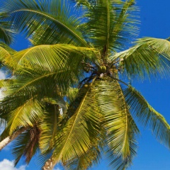 Akmaral Jakenova, 01.05.1985, Актау