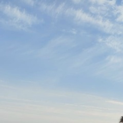 Александр Маурер, Москва