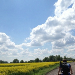 Иван Дзибий, 26.10, Киев