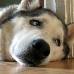 Guilippo Ninguem, 16.12, São Paulo