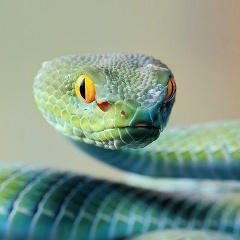 Марина Луцевич, Минск