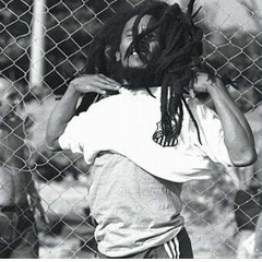 Junior Ribeiro, Santos
