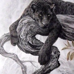 Рустем Каербаев, 16.01.1990, Алматы