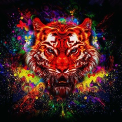 Илья Нестерюк, Алматы