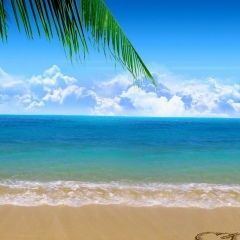 Антонина Марченко, 05.02.1985, Киев