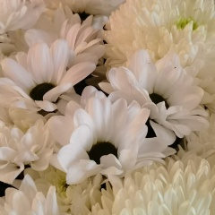 Ольга Доменикина, 10.09, Санкт-Петербург