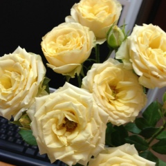 Катерина Лучникова, 11.08.1985, Новокузнецк