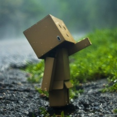 Андрей Андреев, 01.01.1990, Киев