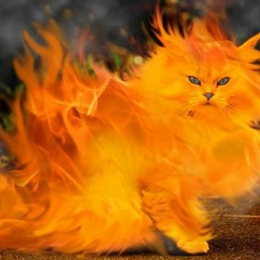 Даниил Александрович, 12.01, Нижний Новгород