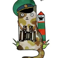 Дмитрий Симоненко, 18.06, Санкт-Петербург