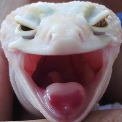 Njudin Izzy, 29.11.1983