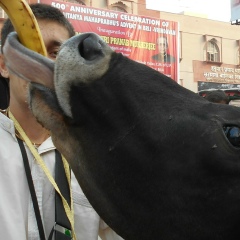 Игорь Резинкин, 12.10.1984, Харьков