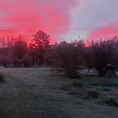 Оля Климова, 13.01.1985, Москва