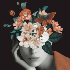 Вера Арабика, 26.09, Санкт-Петербург