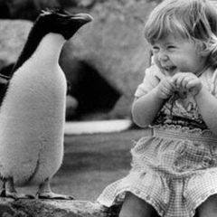 Светлана Полякова, 11.12