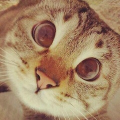 Владимир Дюсембеков, 27.06, Отеген батыр (Энергетический)