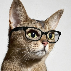 Игорь Трупигор, Ногинск