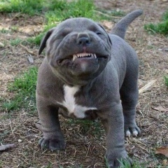 Алексей Манджиев, 08.05.1988, Элиста